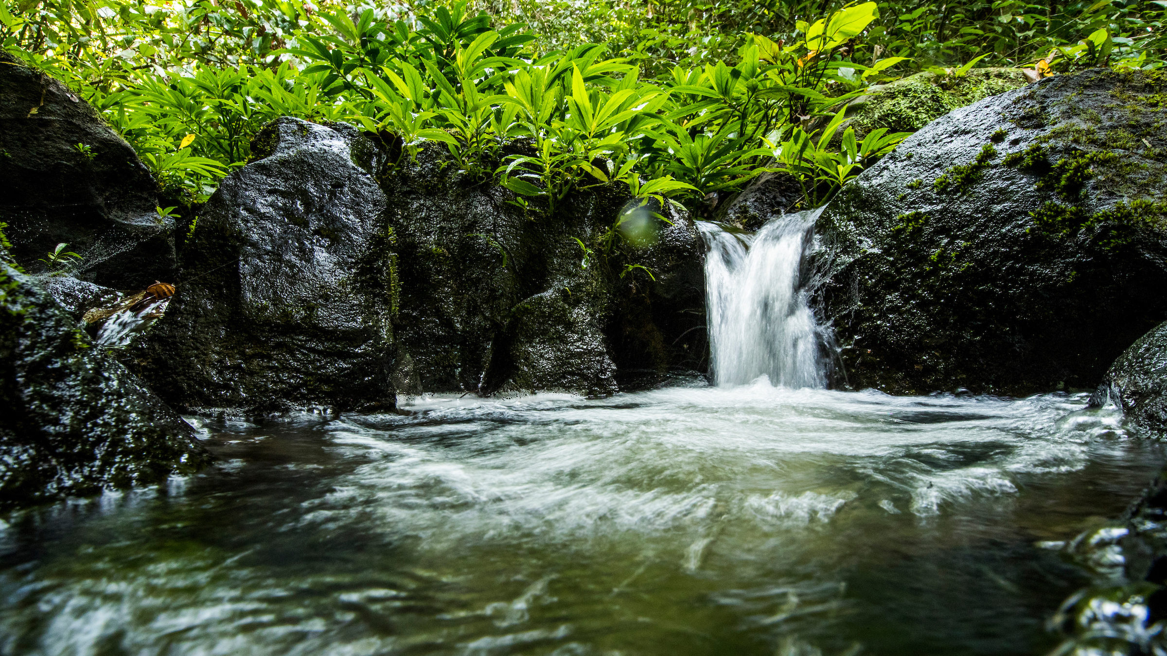 Women lead wildlife and watershed protection
