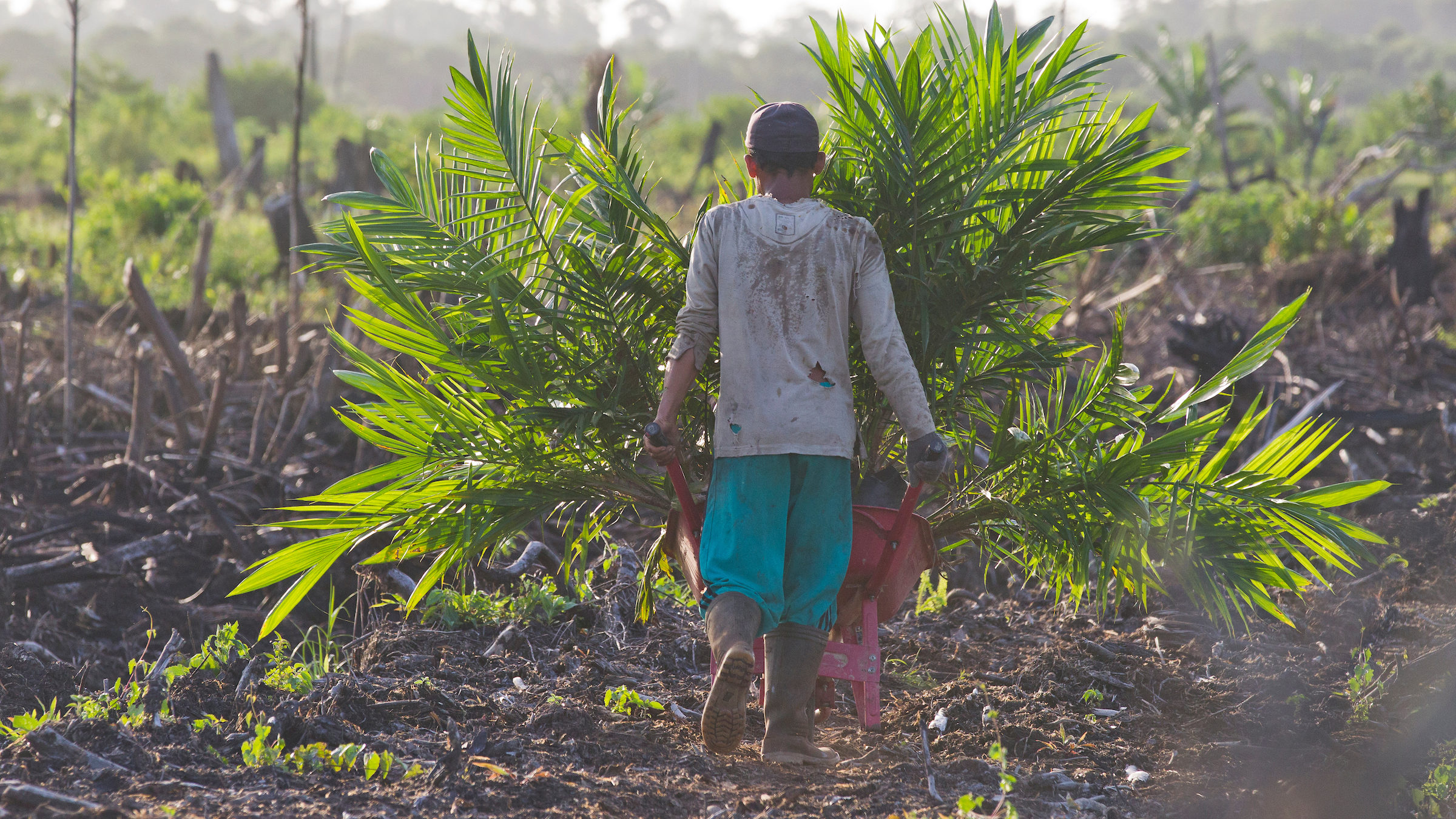 Towards responsible commodity production